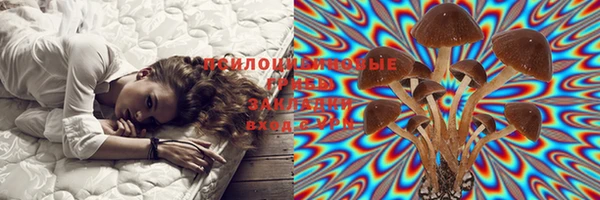 mix Алексин