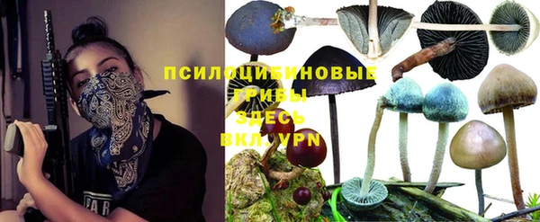 каннабис Абаза
