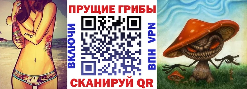 Галлюциногенные грибы ЛСД магазин наркотиков Котовск